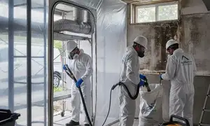 Mold remediation services in Hayward, CA for water damage cleanup and property restoration